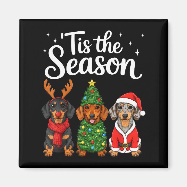 Imán Tis The Season Dachshund Christmas Santa Weiner Do (Frente)