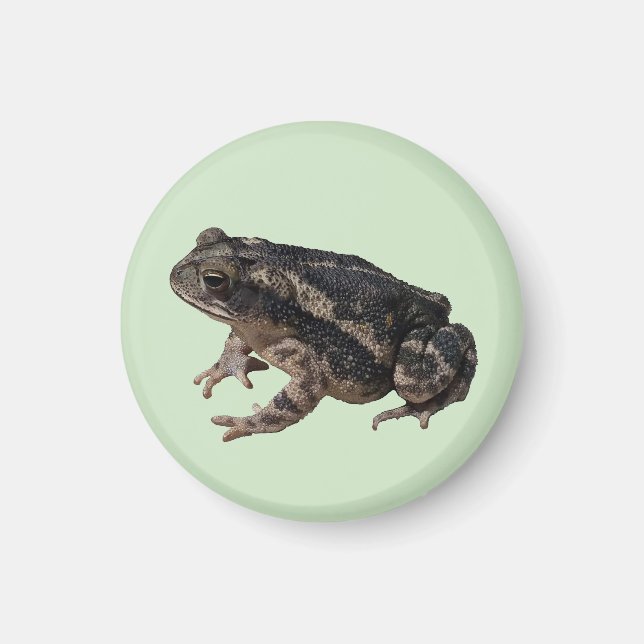 Imán Toad (Frente)