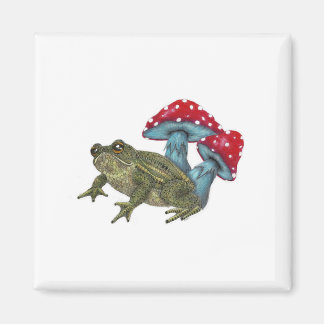 Imán Toad and Toadstool