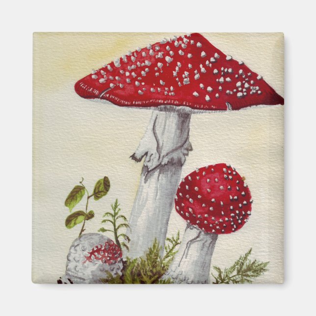 Imán Toadstool (Frente)