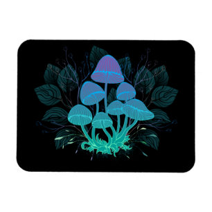 Imán Toadstools en Bushes