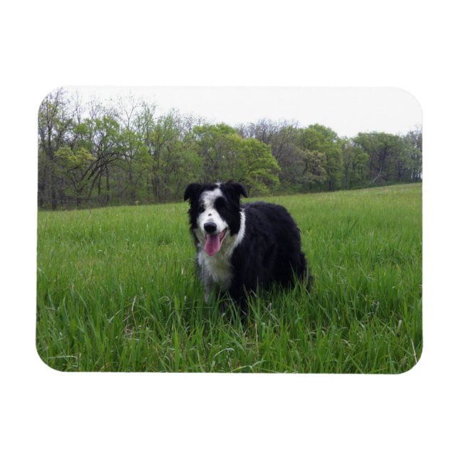 Imán Toby (Horizontal)