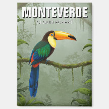 Tocan en Monteverde Cloud Forest Costa Rica