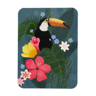 Imán Tócano tropical en la selva