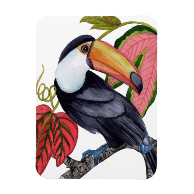 Imán Toco Toucan (Vertical)