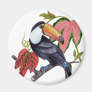 Imán Toco Toucan