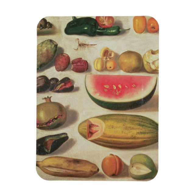 Imán Todavía la vida con fruta y sapo (Vertical)