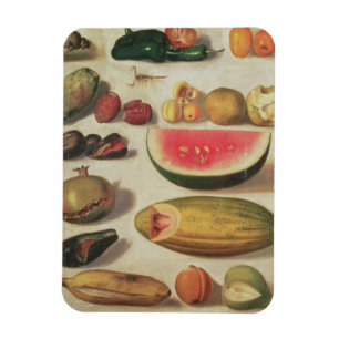 Imán Todavía vida con la fruta y el sapo