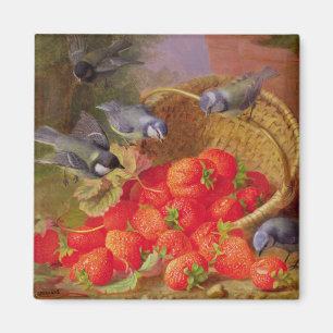 Imán Todavía vida con las fresas y Bluetits