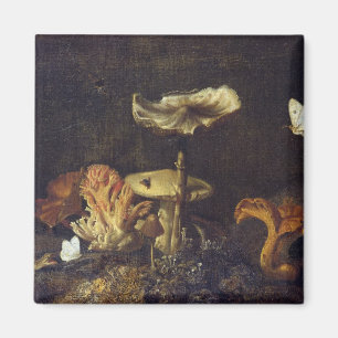 Imán Todavía vida con las setas y las mariposas