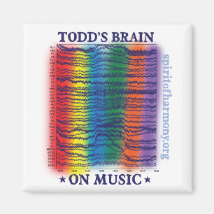 Imán todd-cerebro