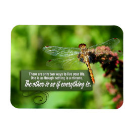 Imán "Todo es un milagro", cita Inspiradora Flex