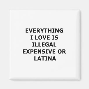 Imán Todo lo que amo es ilegal, caro o latino (