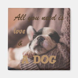 Imán Todo lo que usted necesita es amor y un perro