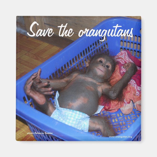 Imán Todos los bebés necesitan amor (Frente)