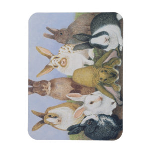 Imán Todos somos oídos