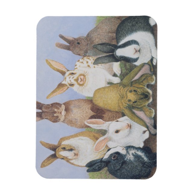 Imán Todos somos oídos (Vertical)