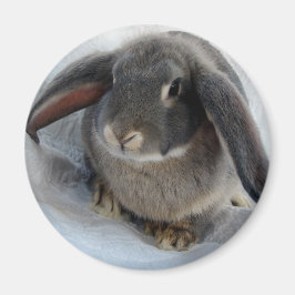 Imán Todos soy oidos por ti