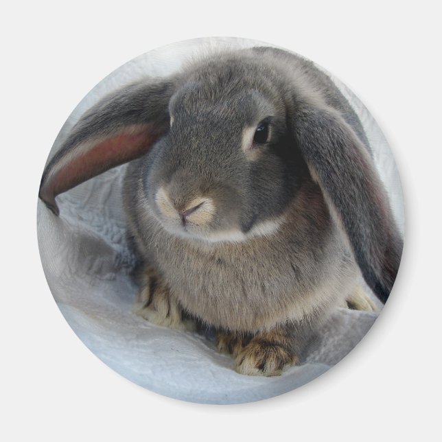 Imán Todos soy oidos por ti (Frente)