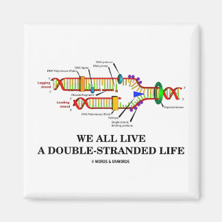 Imán Todos Vivimos Una Vida De Doble Varita (Humor De A