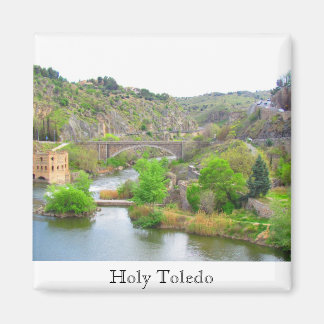 Imán Toledo Santo, España