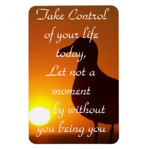 Imán ¡Toma el control!_