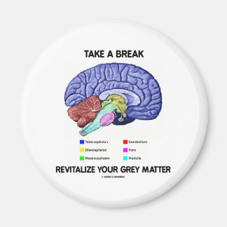 Imán Tomar Una Pausa Revitalizar Su Materia Gris (Cereb