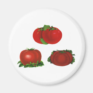 Imán Tomates Rojos Maduros Vintage Comida, Frutas, Verd