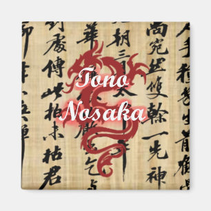 Imán Tono Nosaka Magnet