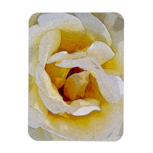 Imán tonos blancos a amarillos