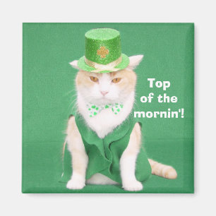 Imán Top del mornin'!