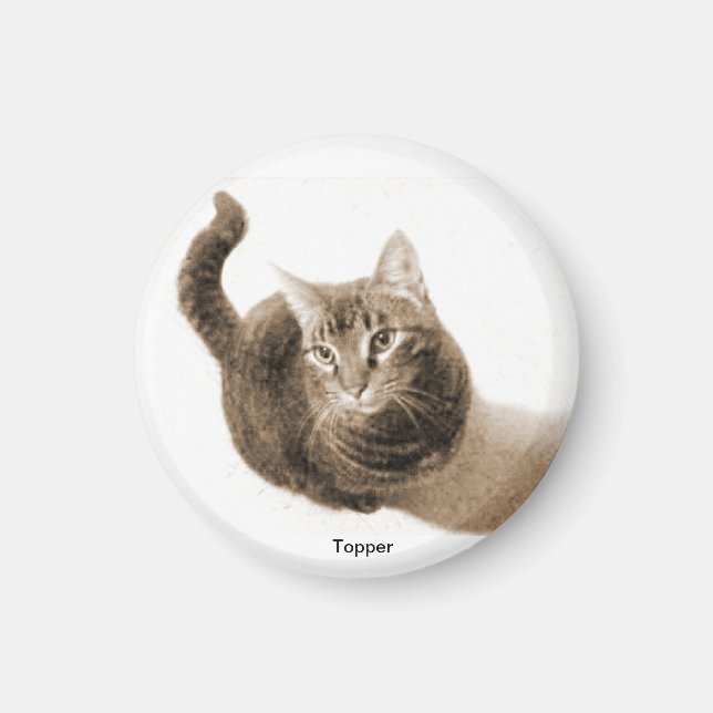Imán Topper the Cat Magnet (Frente)