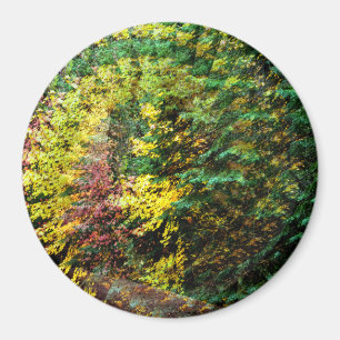 Imán Torbellino de otoño.........