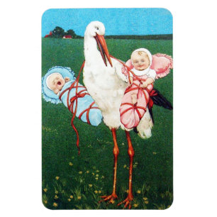 Imán TORMENTA BABY SHOWER TWIN, rosa, azul Verde azulad