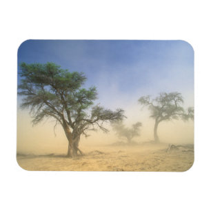 Imán Tormenta de arena en el desierto de Kalahari, Kgal