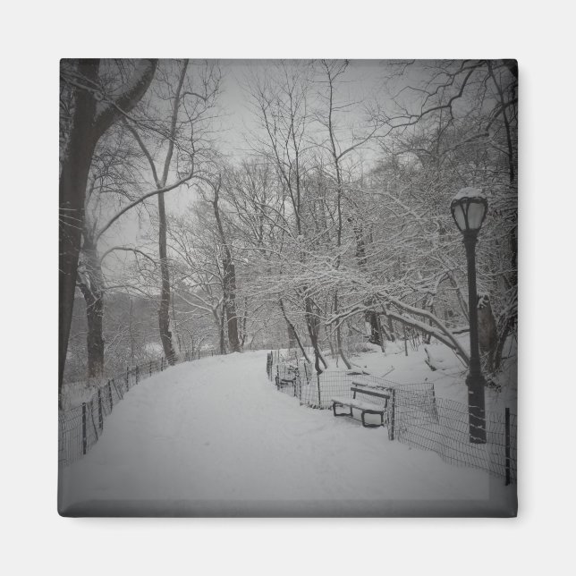 Imán Tormenta de nieve, Central Park, Nueva York (Frente)