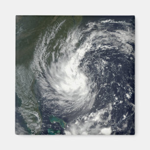 Imán Tormenta tropical Gustavo 2