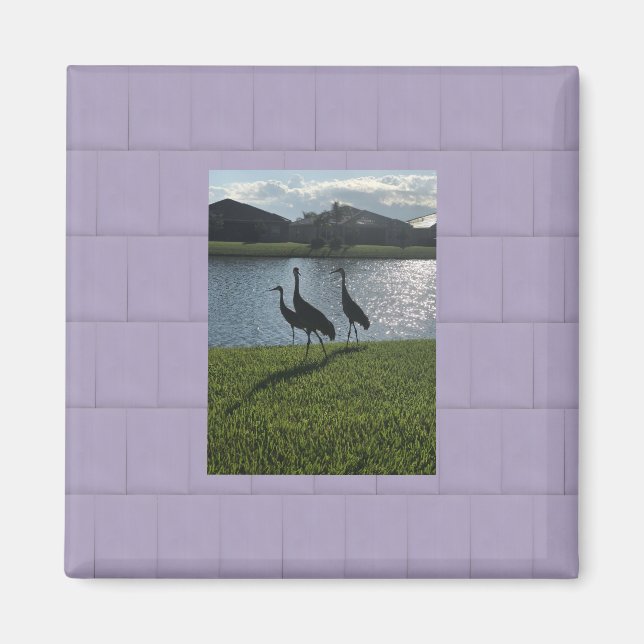 Imán Tormentas de amor (Frente)