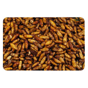 Imán Tormentas de seda fritas... Comida tailandesa call