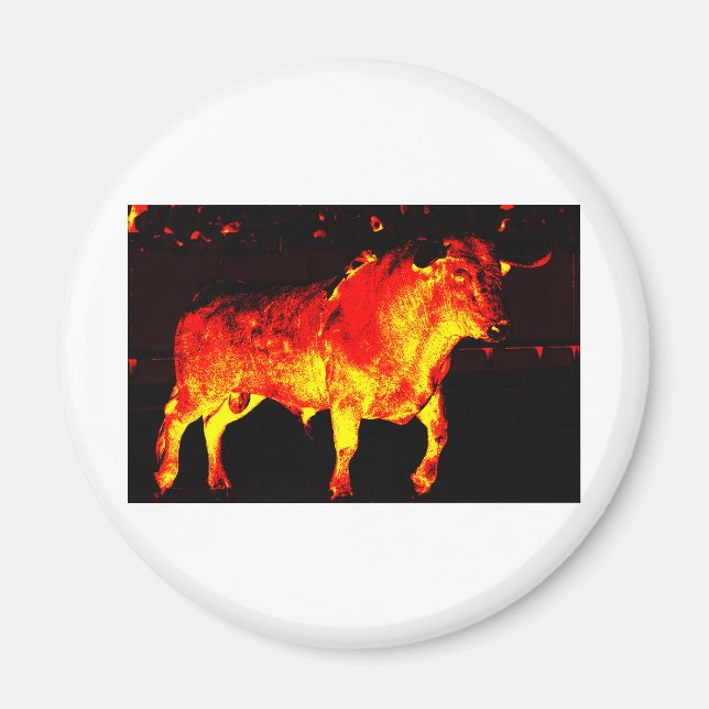 IMÁN TORO BRAVO (Frente)