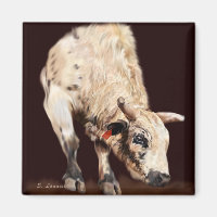 Toro de rodeo blanco