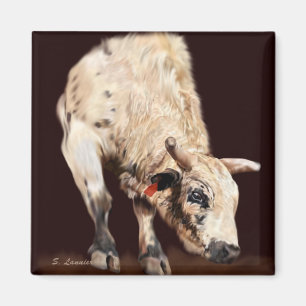 Imán Toro de rodeo blanco