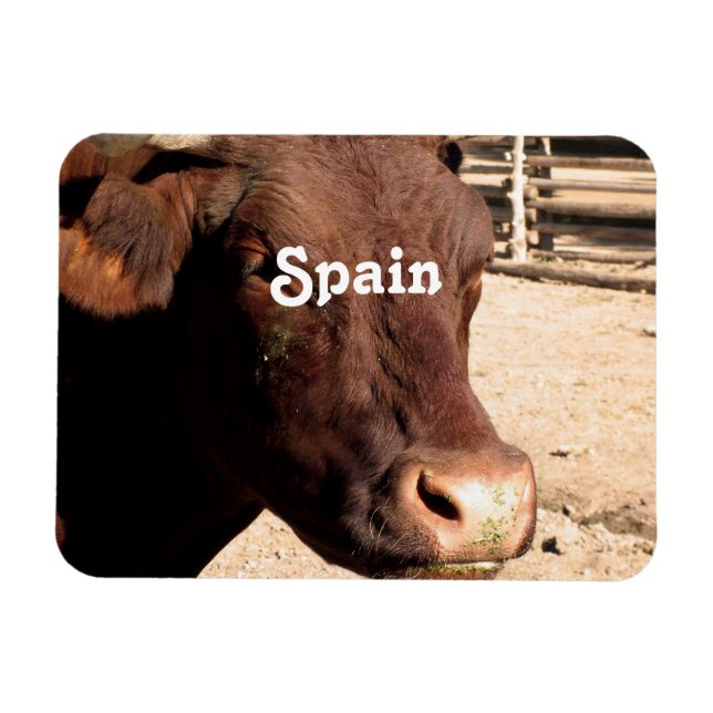 Imán Toro español (Horizontal)