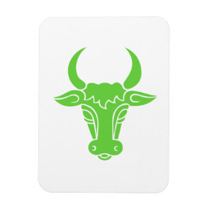 Imán toro verde