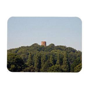 Imán Torre Conygar