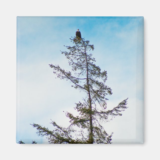 Imán Torre Watch (Frente)