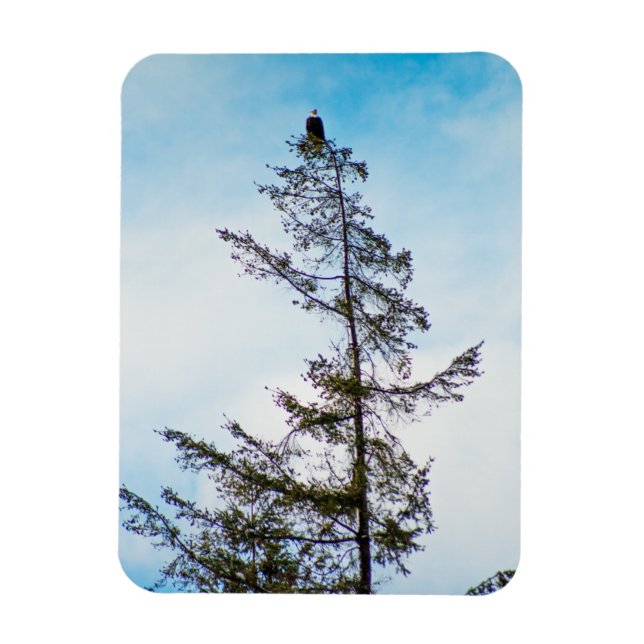 Imán Torre Watch (Vertical)