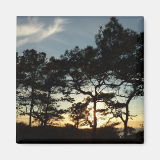 Imán Torrey Pine Sunset II California