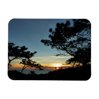 Imán Torrey Pine Sunset III California