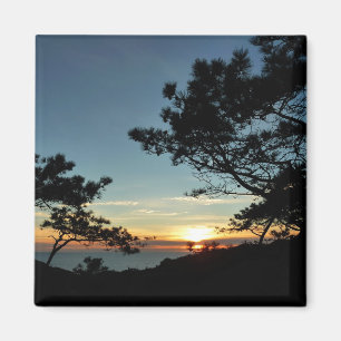Imán Torrey Pine Sunset III California